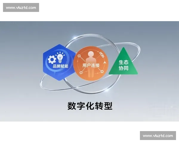 以社会创新驱动多元协同的可持续发展实践新路径探索与公共价值共创机制研究 以社会创新驱动多元协同的可持续发展实践新路径探索与公共价值共创机制研究